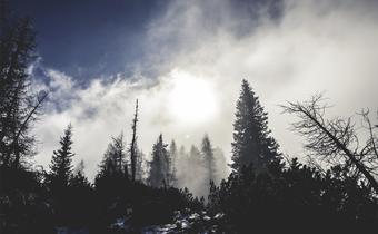 tool man xyz